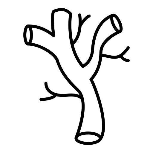 Otthoni használat